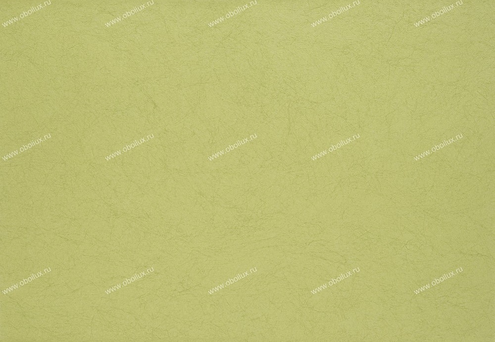Обои Designers Guild Tsuga P502/55