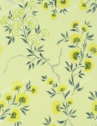Обои Designers Guild Amrapali P573/07