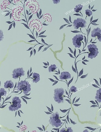 Обои Designers Guild Amrapali P573/08