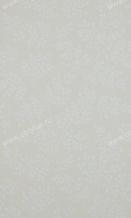 Обои Sanderson Caverley DCAVCO104