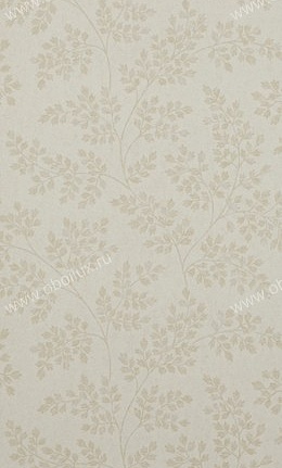 Обои Sanderson Caverley DCAVCO105