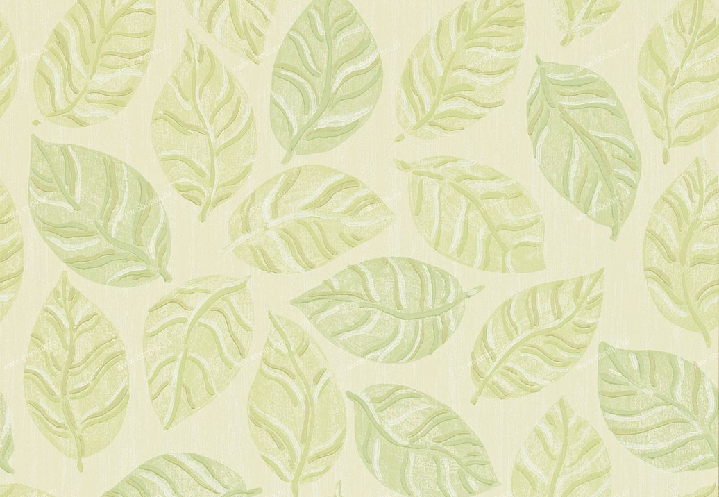 Обои Sanderson Bloomsbury Canvas 211088