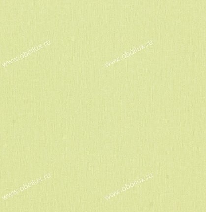 Обои Sanderson Maycott 211965