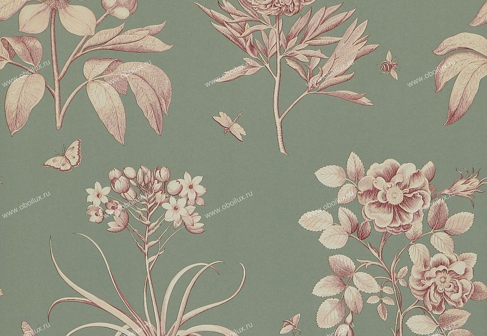 Обои Sanderson Classic Collection II DCLAEC105