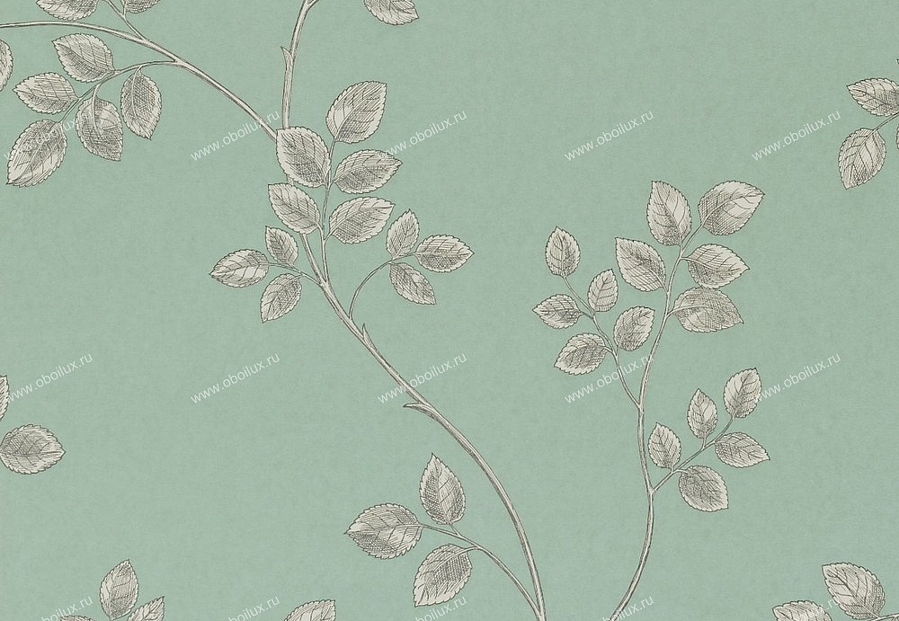 Обои Sanderson Classic Collection II DCLAFR105