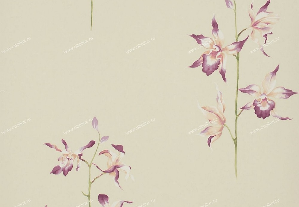 Обои Sanderson Classic Collection II DCLAPO101
