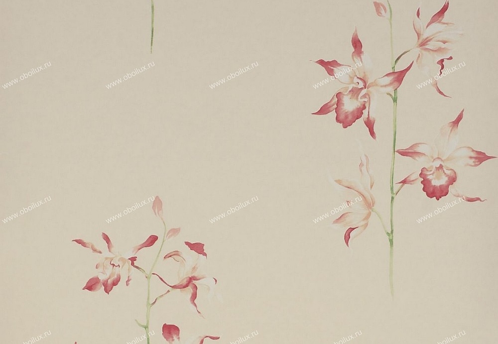 Обои Sanderson Classic Collection II DCLAPO102