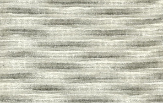 Бельгийская ткань Daylight, коллекция Ternura, артикул Ternura/Papyrus