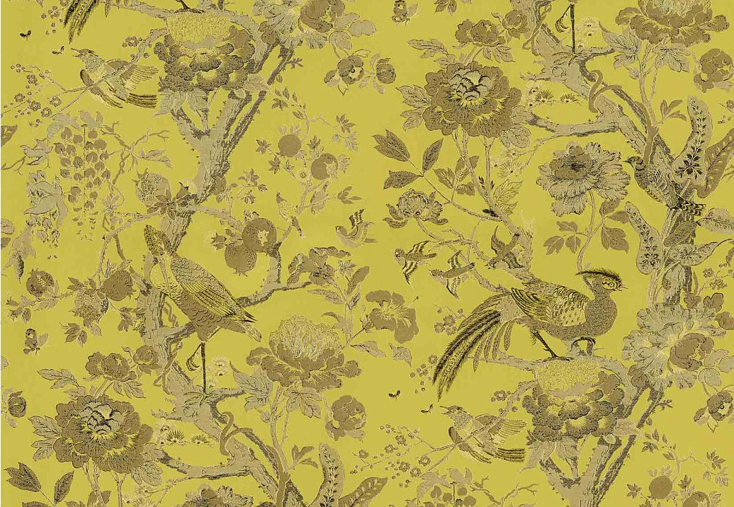 Ткань Dedar Silkbird Jacquard T16025/006