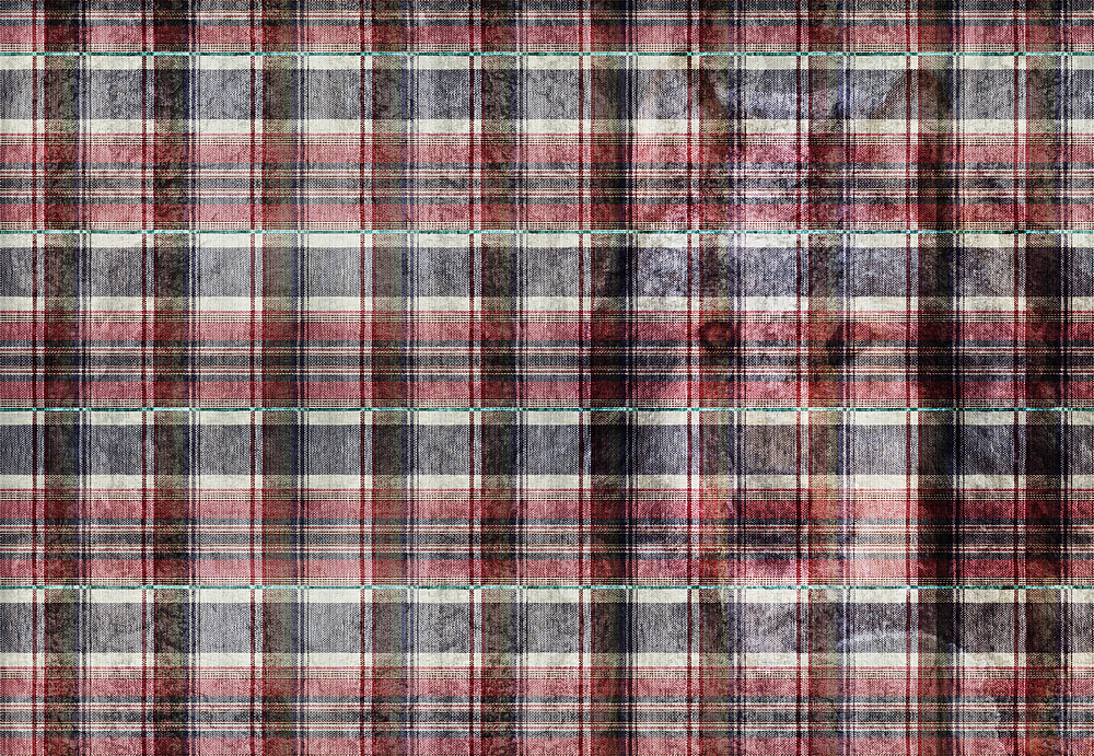 Панно и фотообои JWall 1003 Nomad WJJ00841