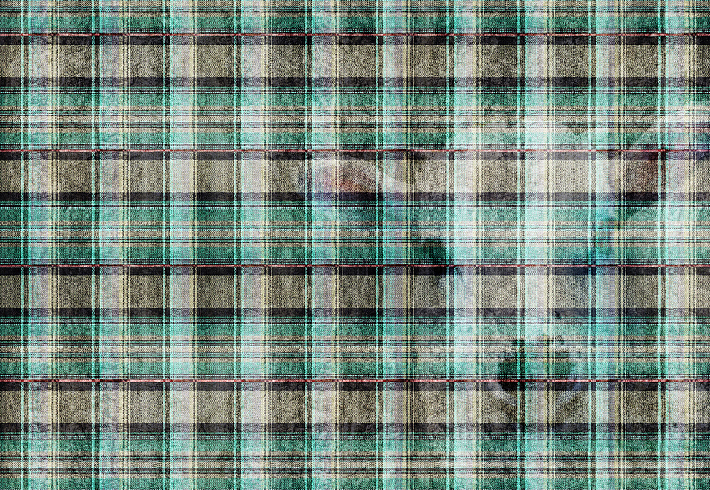 Панно и фотообои JWall 1003 Nomad WJJ00842