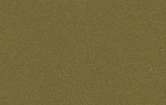 Панно и фотообои JWall 1004 Classic WJGU0003