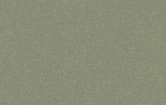 Панно и фотообои JWall 1004 Classic WJGU0012