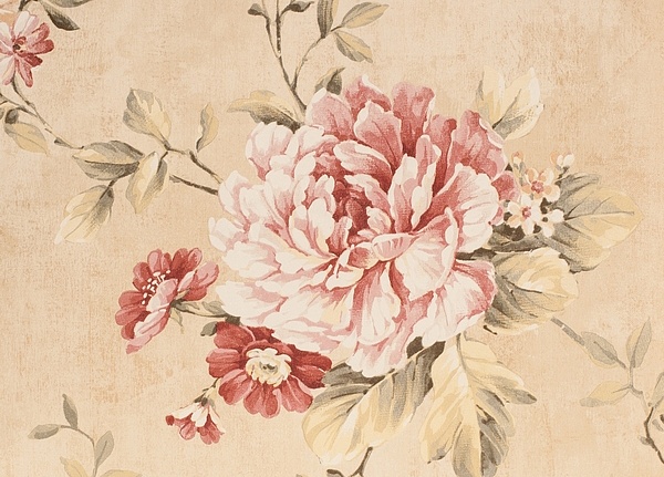 Обои Aquarelle Wisteria Cottage CW20207