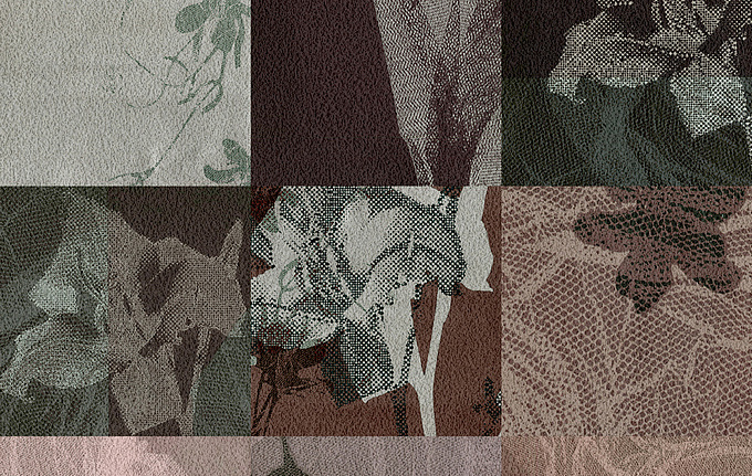 Панно и фотообои JWall 1002 Pandora WJQ00142