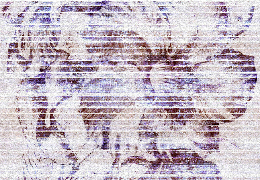 Панно и фотообои JWall 1002 Pandora WJQ00162