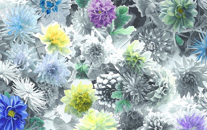 Английская ткань Designers Guild, коллекция Viola, артикул F1807/02