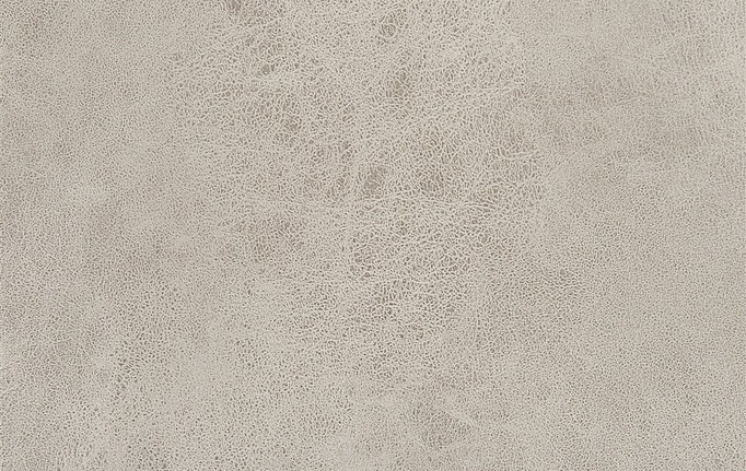 Английская ткань Designers Guild, коллекция Nevada, артикул FDG2539/06