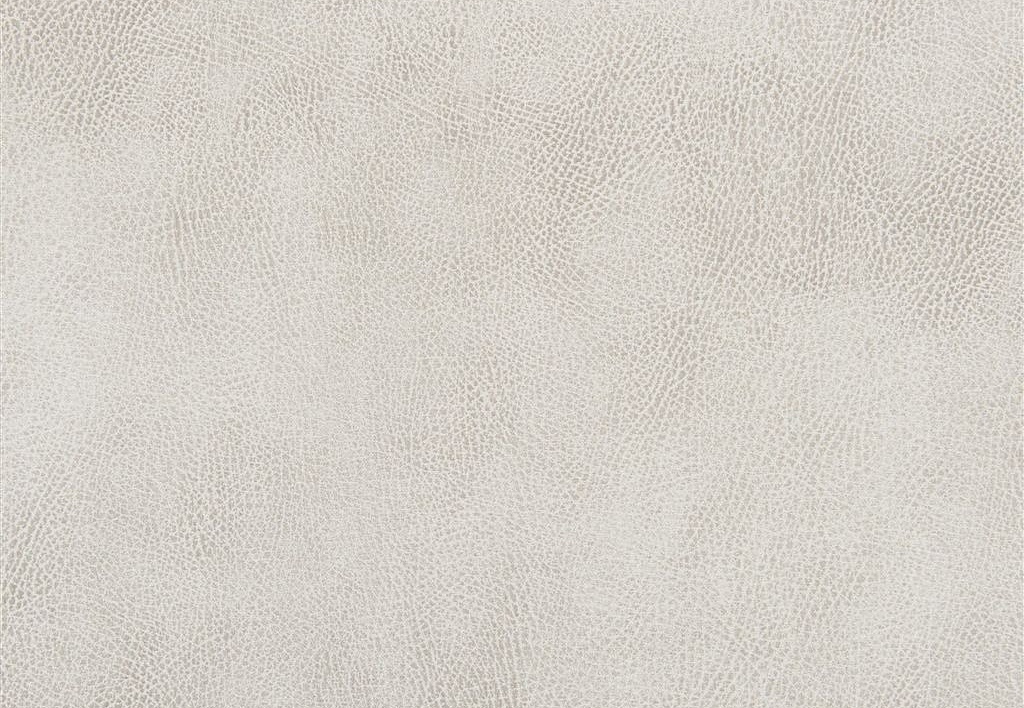 Ткань Designers Guild Nevada FDG2538/08