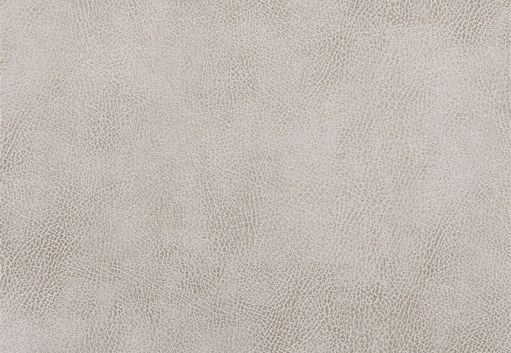 Ткань Designers Guild Nevada FDG2538/06