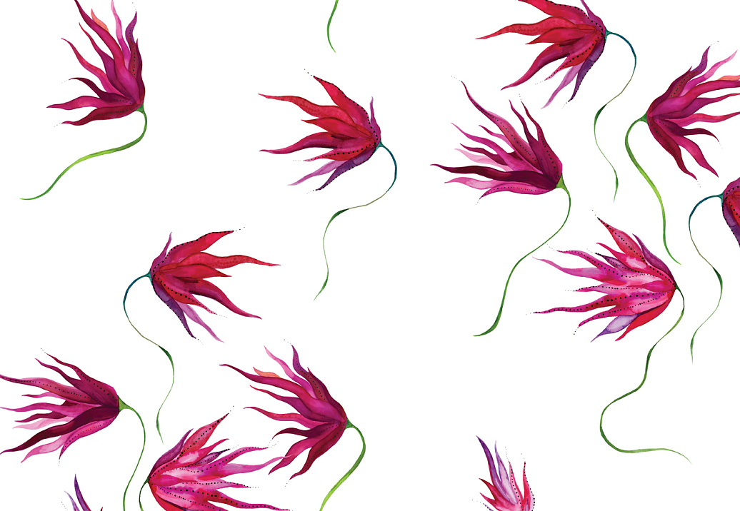 Обои Maison C Wallpaper Collection SKUED001