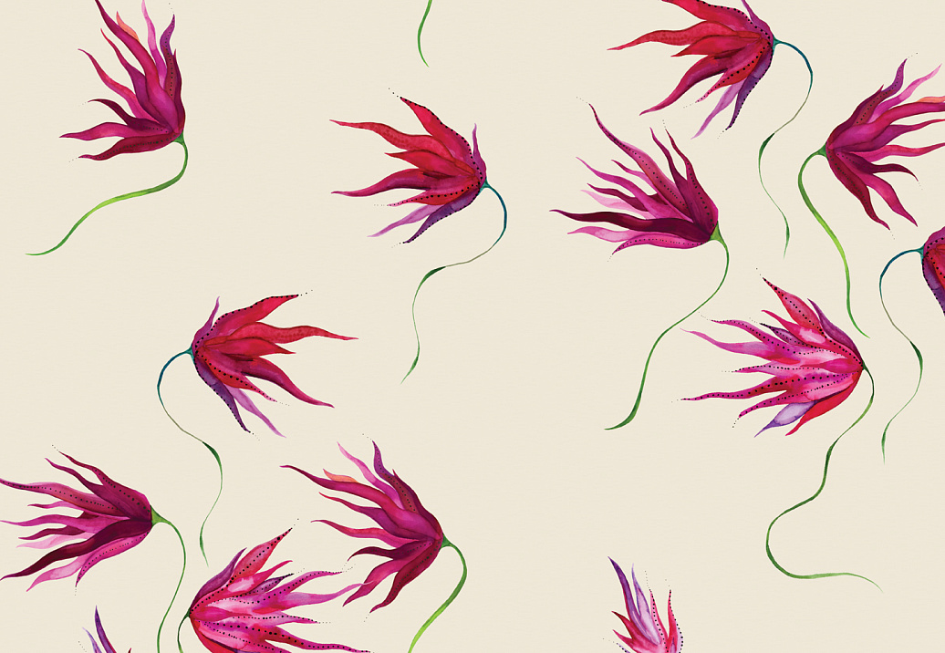 Обои Maison C Wallpaper Collection SKUED002