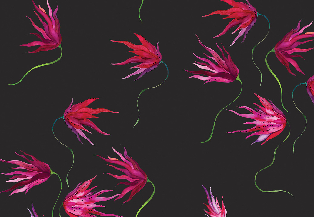 Обои Maison C Wallpaper Collection SKUED003