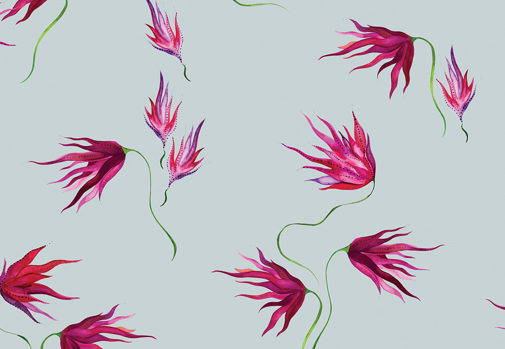 Обои Maison C Wallpaper Collection SKUED004