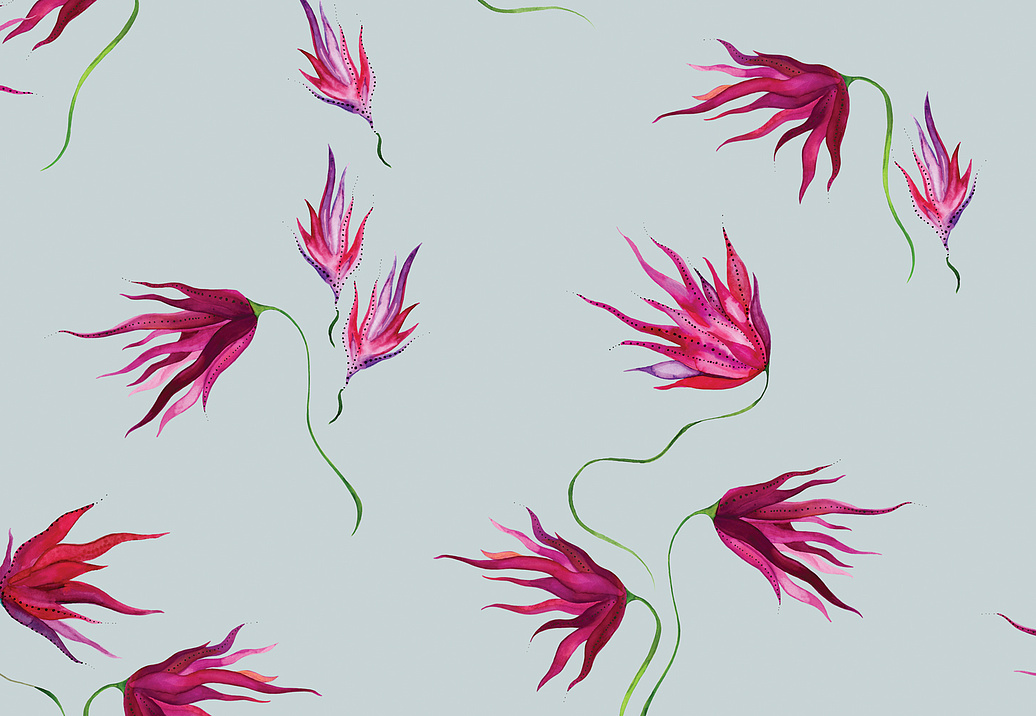 Обои Maison C Wallpaper Collection SKUED004