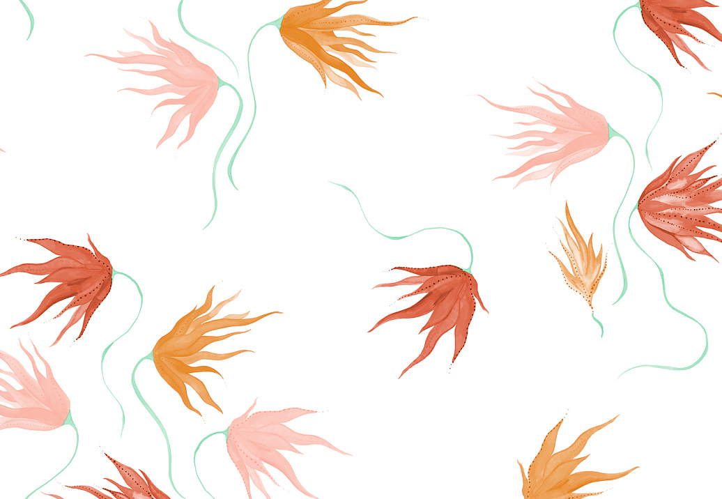 Обои Maison C Wallpaper Collection SKUED005