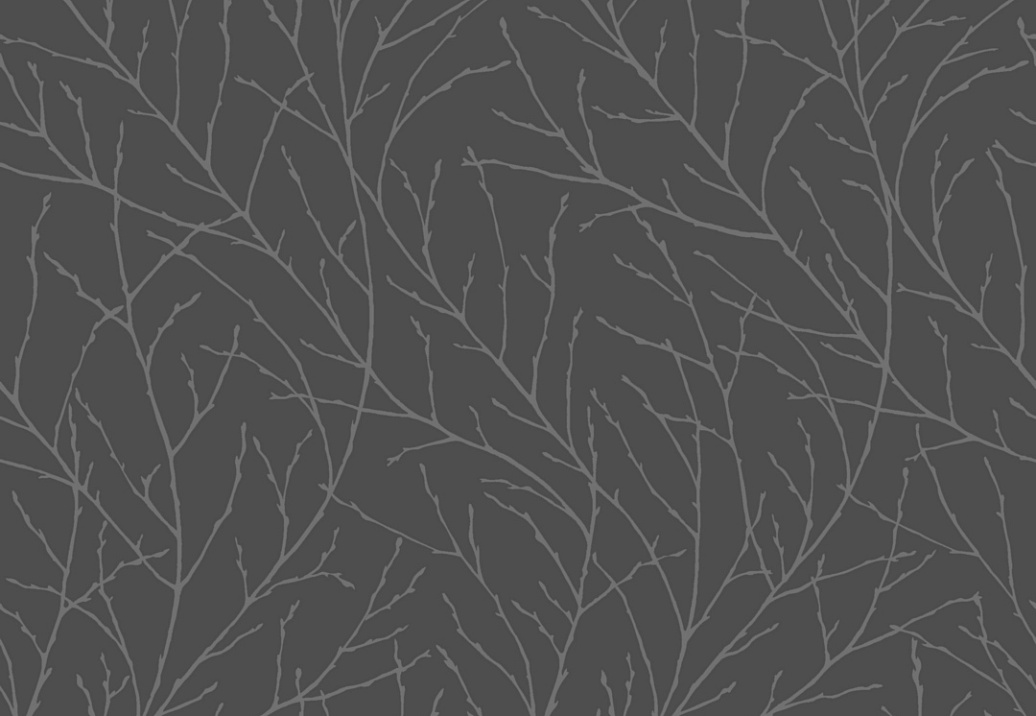 Обои Eco Coloured by Studio 8974