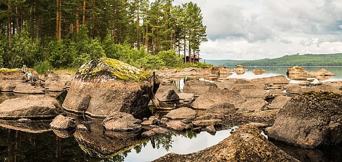 Обои Rebel Walls No 13 Scandinavia R16431