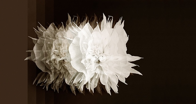 Панно и фотообои Wall & Deco 2015 WDCI1501