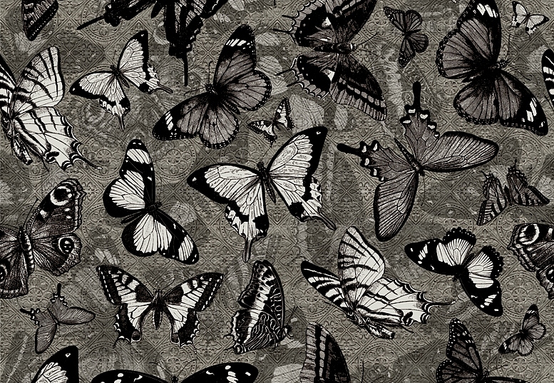 Панно и фотообои Wall & Deco 2015 WDCM0502