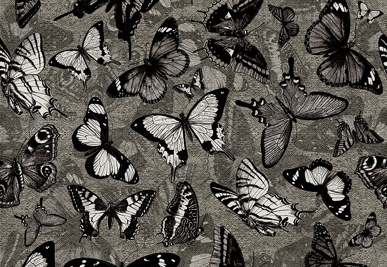 Панно и фотообои Wall & Deco 2015 WDCM0502