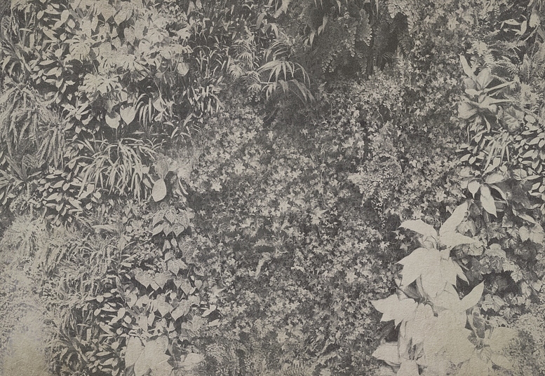 Панно и фотообои Wall & Deco 2015 WDVG1502