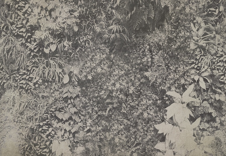 Панно и фотообои Wall & Deco 2015 WDVG1502