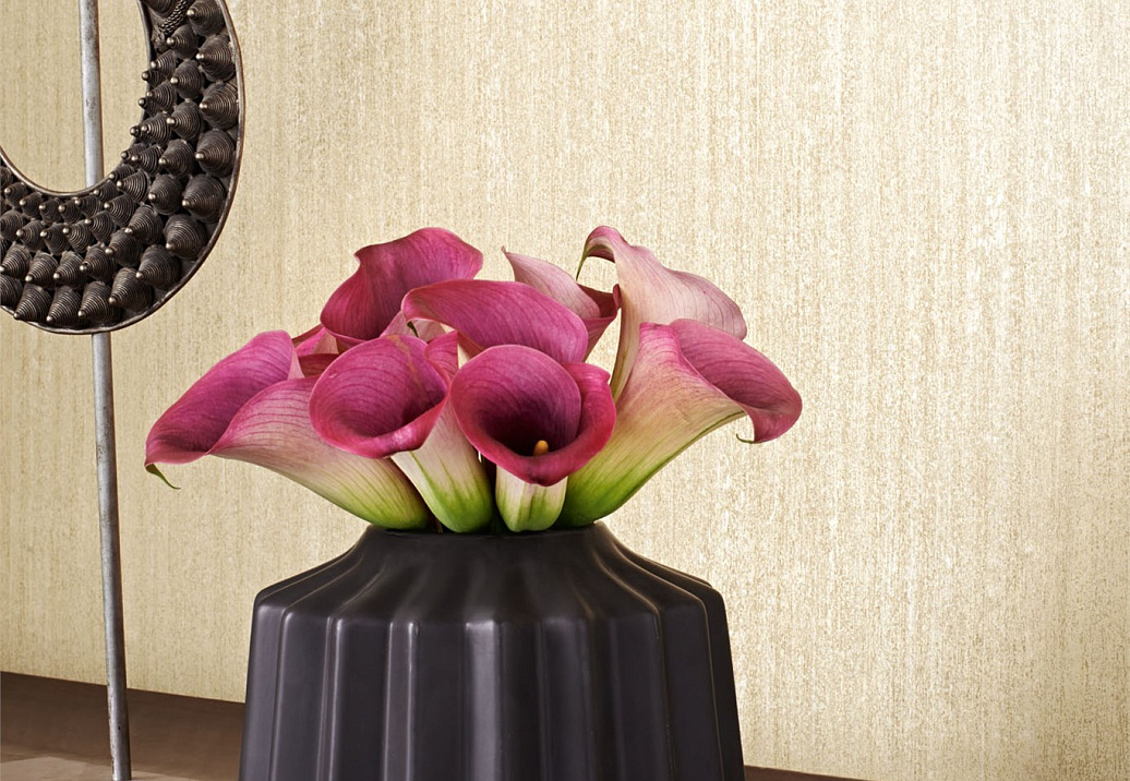 Обои Zoffany Jaipur 311736