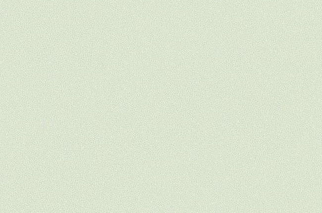 Обои York Candice Olson - Modern Nature CZ2408