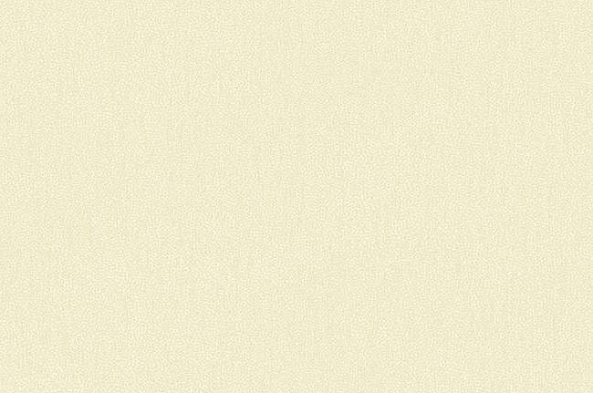 Обои York Candice Olson - Modern Nature CZ2410