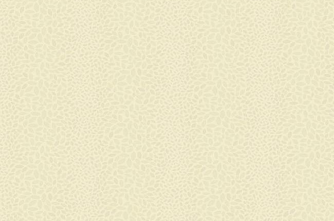 Обои York Candice Olson - Modern Nature CZ2449