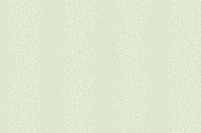 Обои York Candice Olson - Modern Nature CZ2453