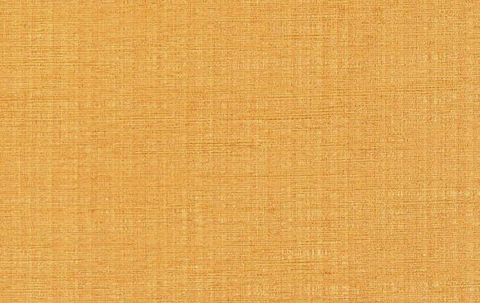 Бельгийская ткань Daylight, коллекция Cassel, артикул Raville/Ginger