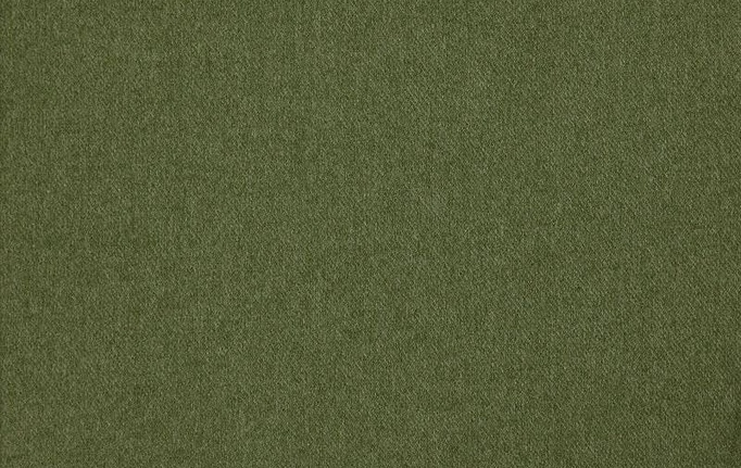 Бельгийская ткань Daylight, коллекция Cassel, артикул Cassel/Olive
