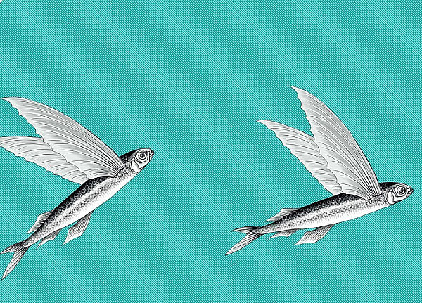 Ткань Flying Fish Interior Textiles П-2-L