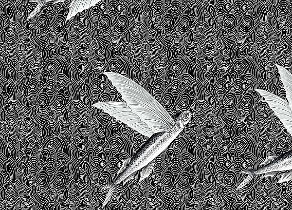 Ткань Flying Fish Interior Textiles B-2-L