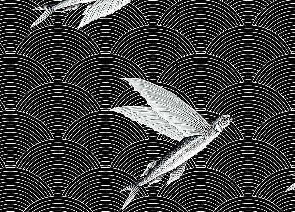 Ткань Flying Fish Interior Textiles B-3-L