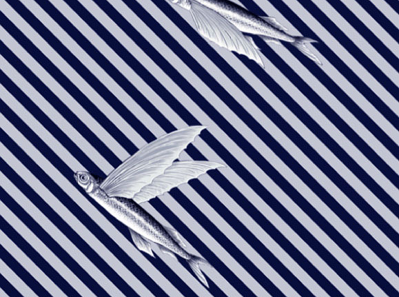 Ткань Flying Fish Interior Textiles T-5-P
