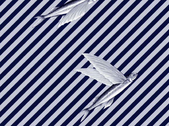 Ткань Flying Fish Interior Textiles T-5-L