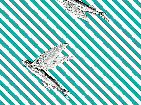 Ткань Flying Fish Interior Textiles Б-5-Р